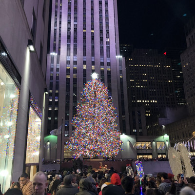 冬のニューヨークには欠かせない巨大ツリー Trip Com New York Travelogues 冬のニューヨークには欠かせない巨大ツリー Trip Com New York Travelogues