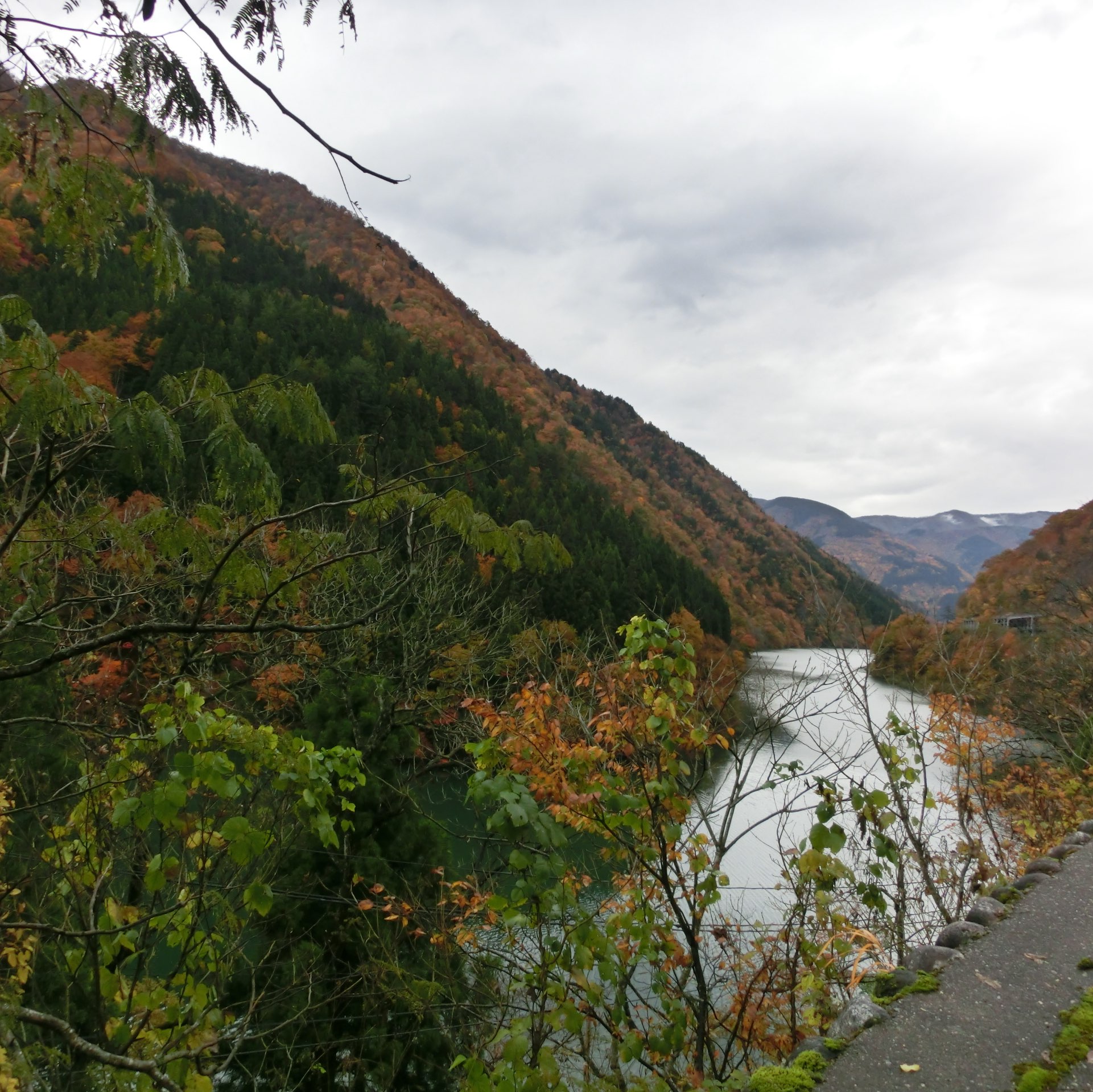 Tripメモリーで 合掌造りをチェック Trip Comトラベルガイド