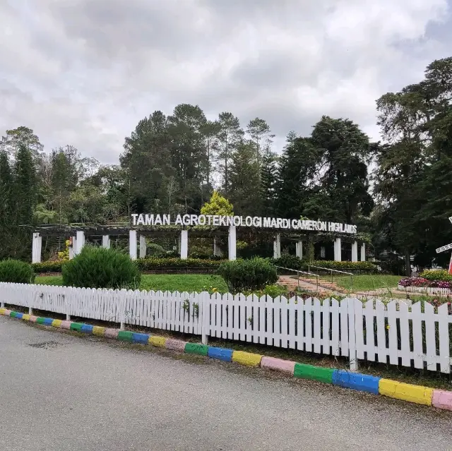 Worth Visiting Park in Cameron Highland
