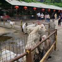 親親小動物 ～ 大棠有機生態園 