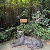 Wild wild weekend at Singapore Zoo 