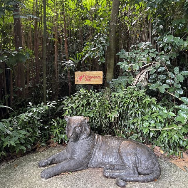 Wild wild weekend at Singapore Zoo 