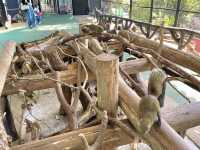 岐阜🐿リスがかなり近くでみれて餌もあげれる🐿💓金華山リス村