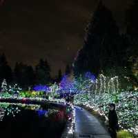Christmas lights festival at the botanical gardens 