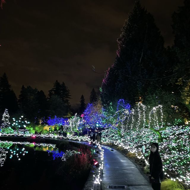 Christmas lights festival at the botanical gardens 