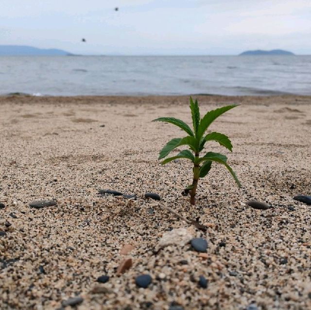 【滋賀県 野洲市】琵琶湖✨びわこマイアミランドの施設紹介🌟