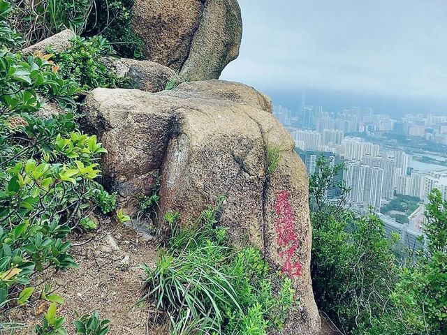 春花落