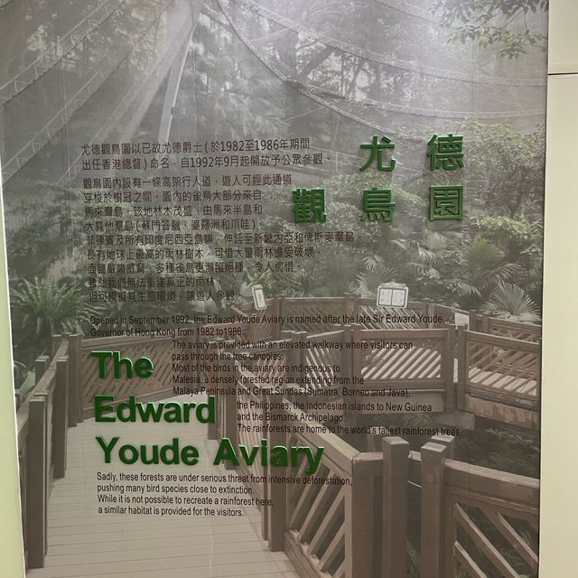 尤德觀鳥園@香港公園