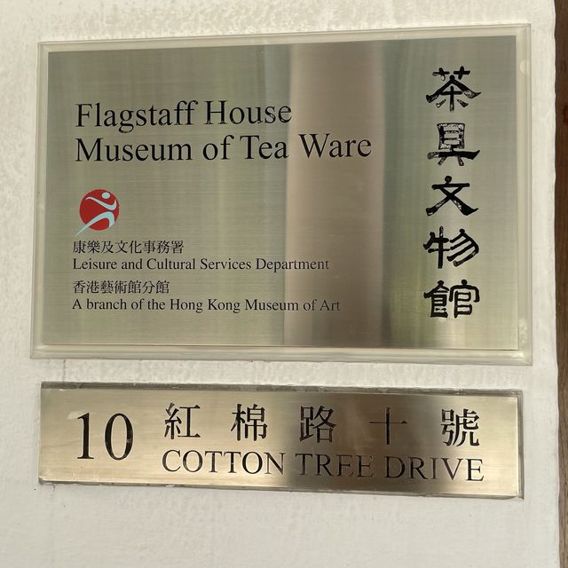 大家一齊嚟探索茶藝嘅文化！