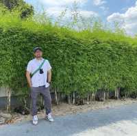 กาญจน์ มาชิ คาเฟ่ ญี่ปุ่น