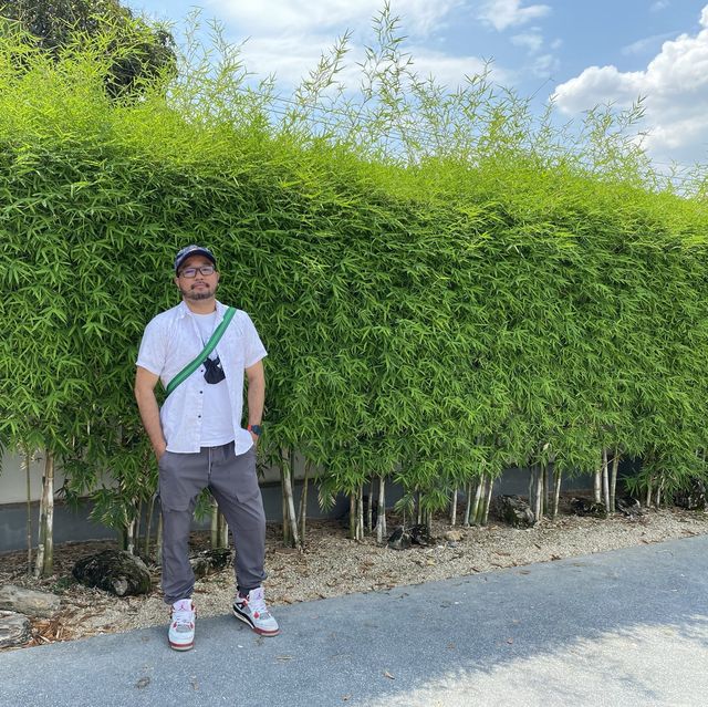กาญจน์ มาชิ คาเฟ่ ญี่ปุ่น