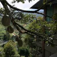 Durian Farm Villa - The Waterway Villa