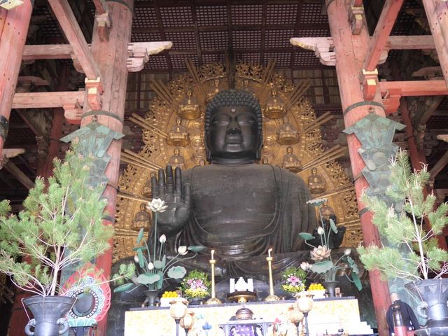 奈良•東大寺へ