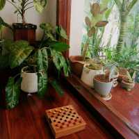 A little cute and homey cafe 🍵