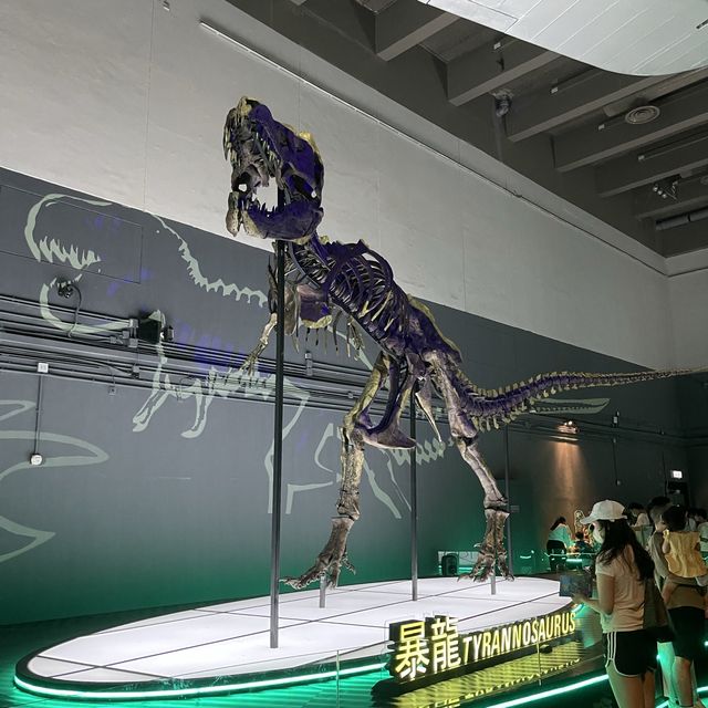 恐龍🦖暑日之旅