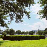 樹叢迷宮躲貓貓｜新生公園｜小朋友最愛玩