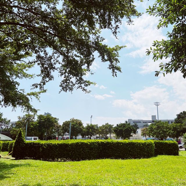 樹叢迷宮躲貓貓｜新生公園｜小朋友最愛玩