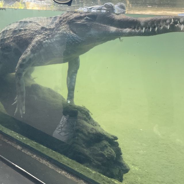 台北市立動物園