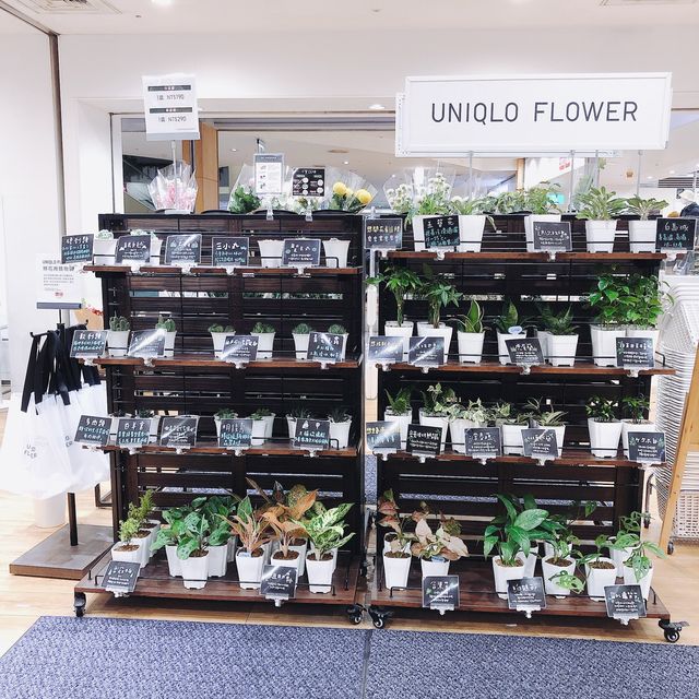 💐🪴發現美好UNIQLO Miramar Store UNIQLO 美麗華店🍀🌵