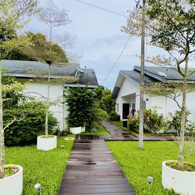 Stay beside paddy field in Langkawi