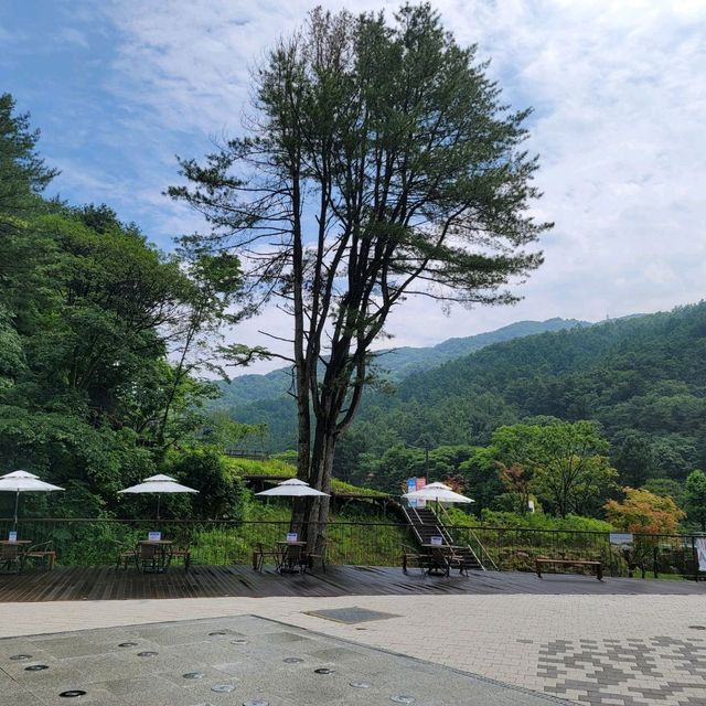 어린이 가족 당일 놀거리 추천