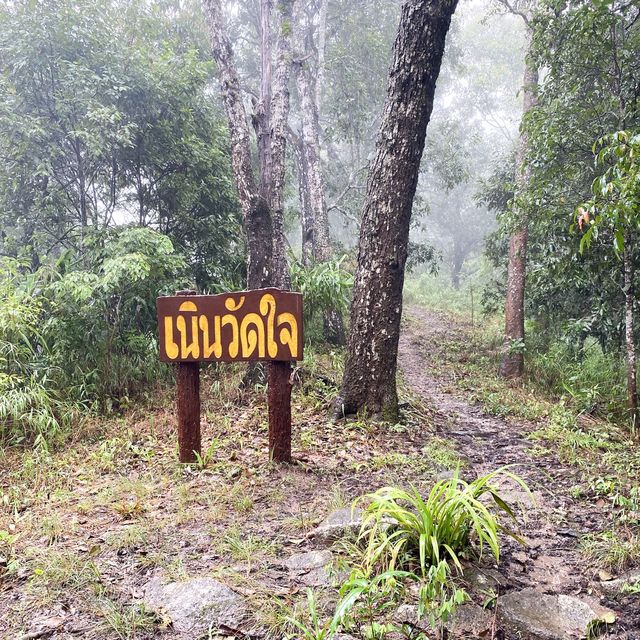 อุทยานแห่งชาติ ดอยขุนตาล ในหน้าฝน