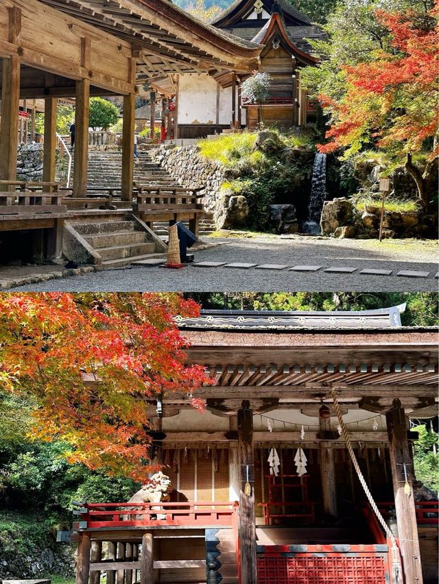 日吉大社大社