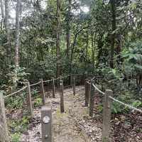 ruins and figs trail  