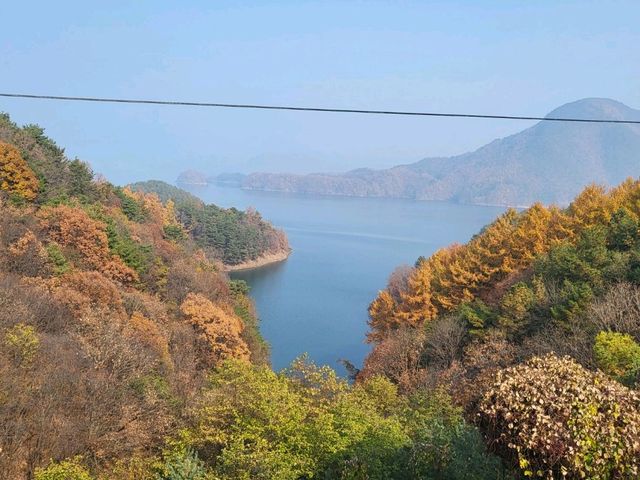 충주호가 훤히 보이는 카페 충주호가 훤히 보이는 카페