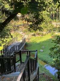 Suspension Bridge, Bukit Gasing 🥰