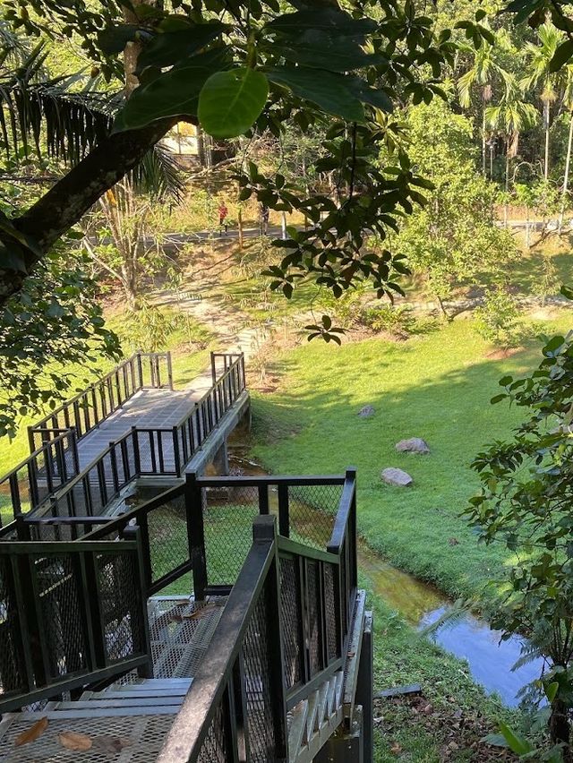 Suspension Bridge, Bukit Gasing 🥰