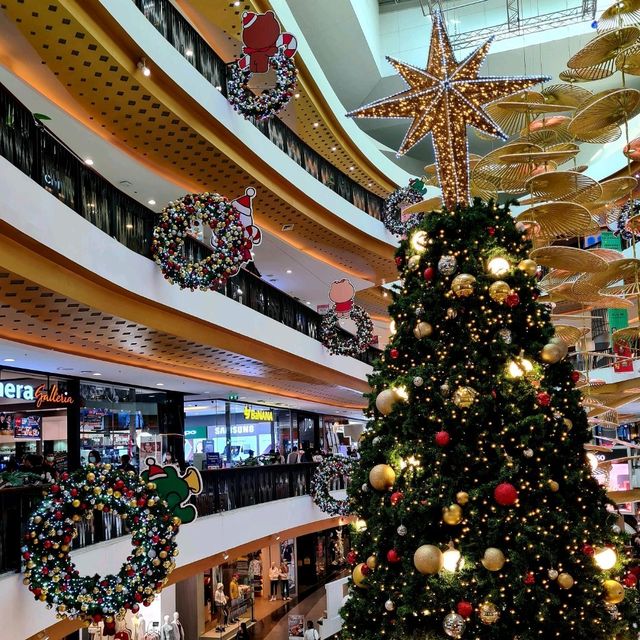 ชมต้นคริสต์มาส 🎄⛄❄️ที่ใหญ่ที่สุดในภาคเหนือ