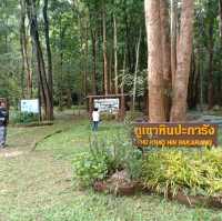 อุทยานแห่งชาติดอยผากลอง 