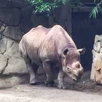 【上野】上野動物園