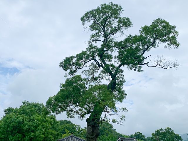 서산 [해미읍성]