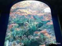 回顧沖繩遊