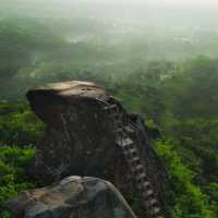 SJ88 HILL : JEMBER