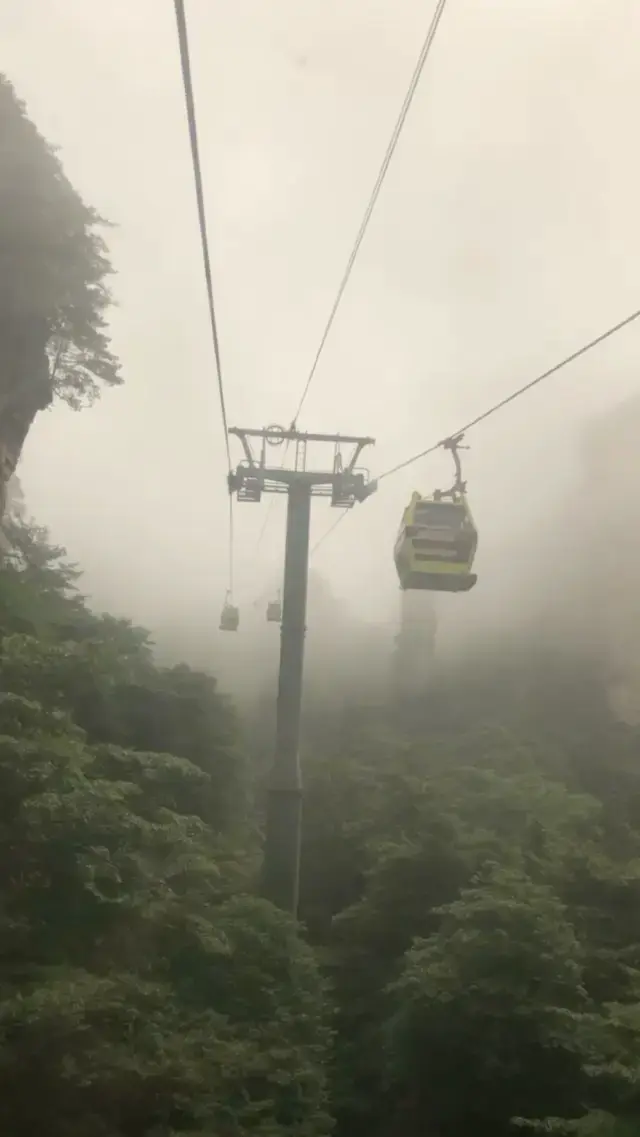 很像修仙練武的張家界-國家森林公園