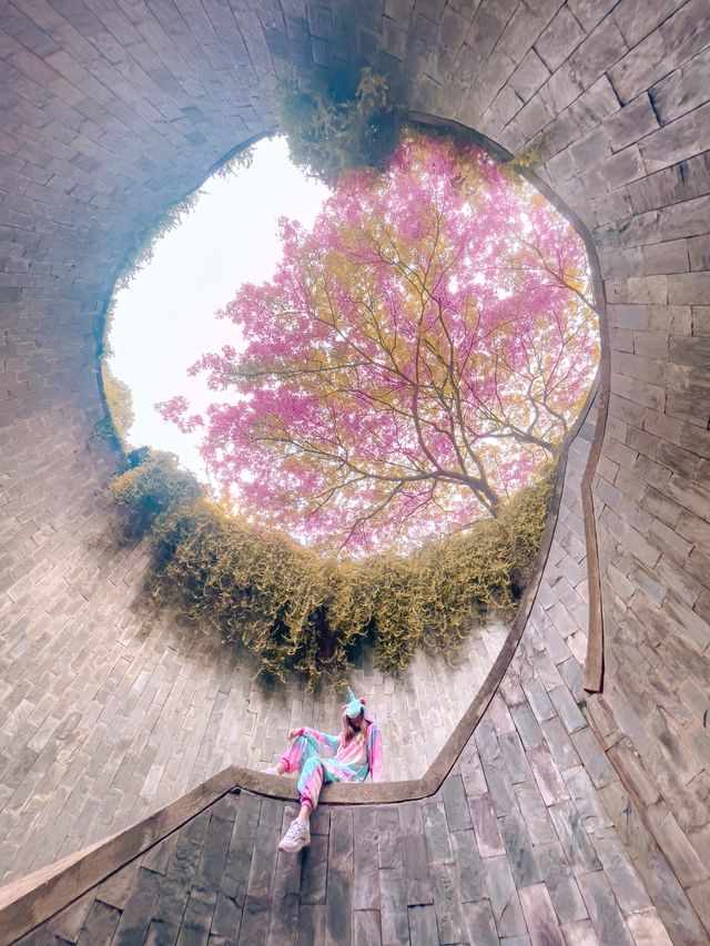 Tree Tunnel at Fort Canning Park