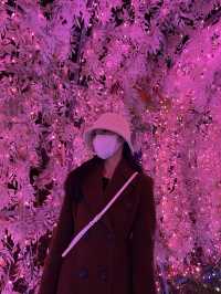 파주의 아름다운 볼거리 :: 퍼스트가든