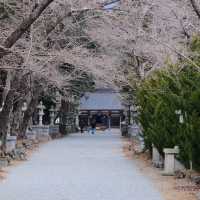 冨士御室浅間神社の参道