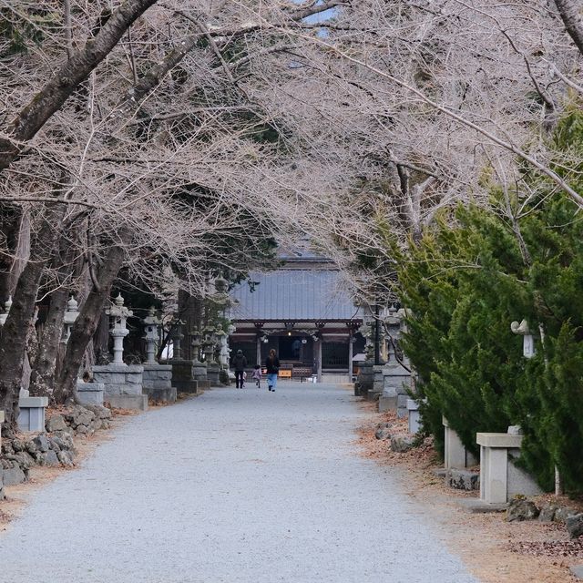 冨士御室浅間神社の参道