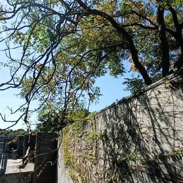鶯歌陶瓷博物館 全家出遊散心的好去處