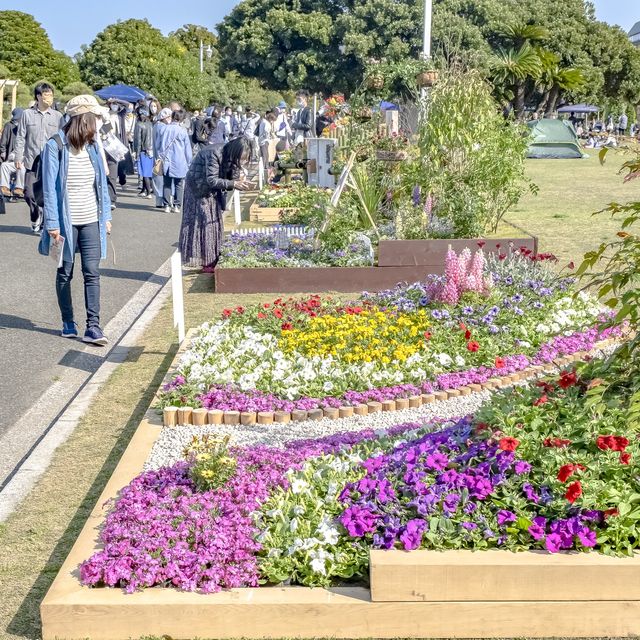 山下公園の花壇展示散策