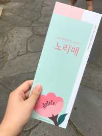꽃구경 잔뜩하고 인생샷 건지기 “노리매테마파크”