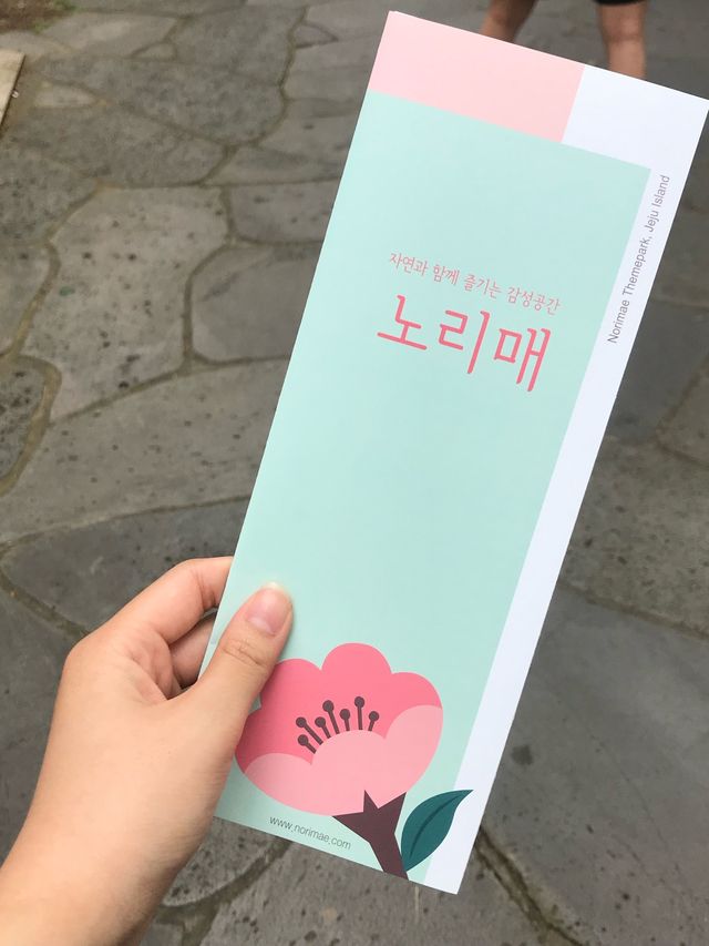꽃구경 잔뜩하고 인생샷 건지기 “노리매테마파크”