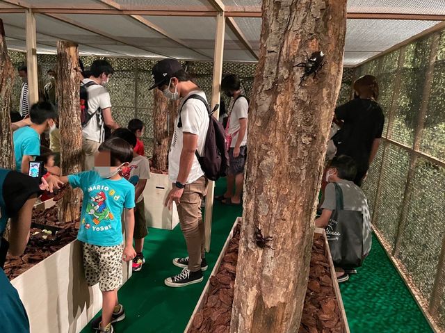 カブトムシを触れるコーナーまで！【ファーブル昆虫展】②