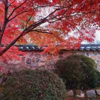 Colours at Bulguksa Temple  Gyeongju