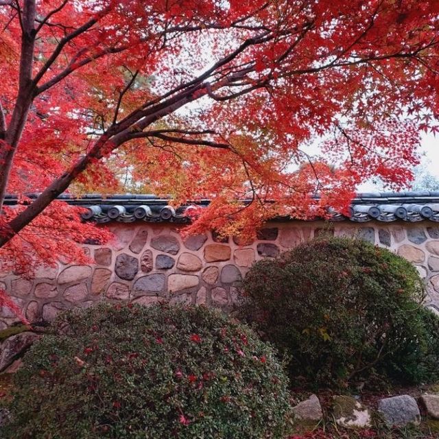 Colours at Bulguksa Temple  Gyeongju