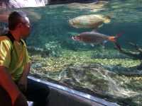 Sea Life Bangkok Ocean World สยามพารากอน